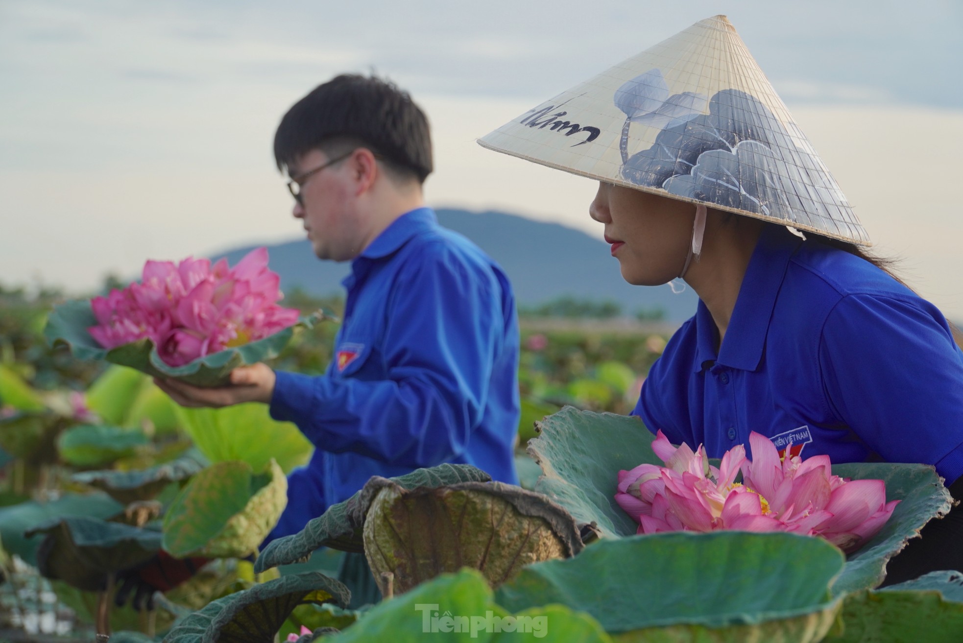 Ra đầm hái sen lúc rạng sáng, mỗi ngày thu tiền triệu- Ảnh 8.