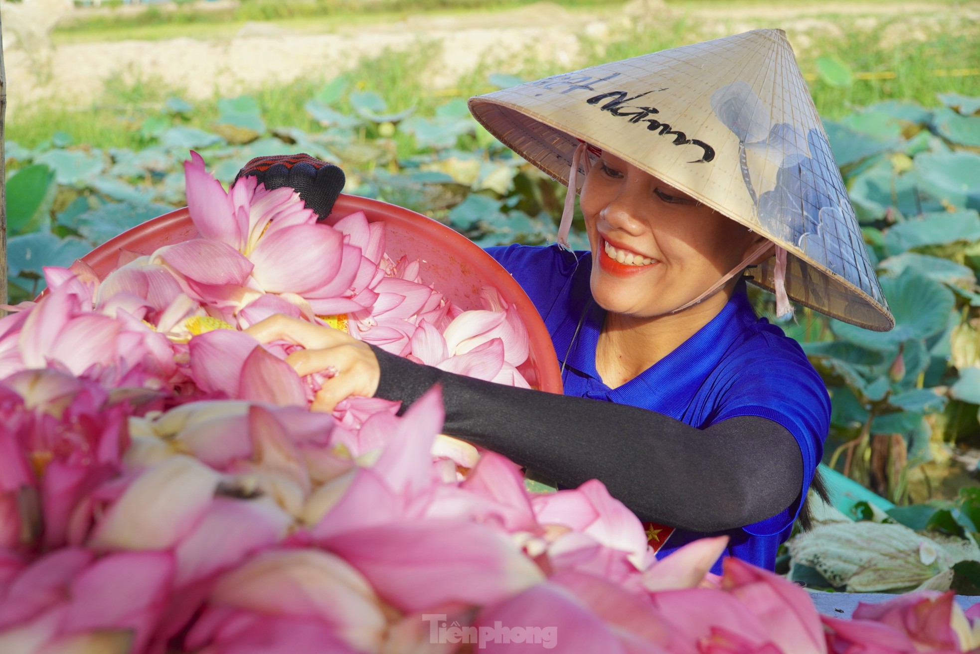 Ra đầm hái sen lúc rạng sáng, mỗi ngày thu tiền triệu- Ảnh 4.