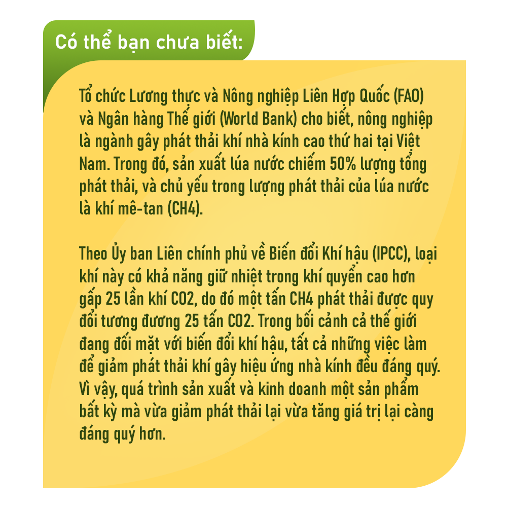 Từ chỉ đạo quyết liệt của Thủ tướng: Một ngành của Việt Nam lãi ròng thêm 100 triệu USD mỗi năm?- Ảnh 4.