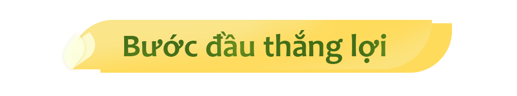 Từ chỉ đạo quyết liệt của Thủ tướng: Một ngành của Việt Nam lãi ròng thêm 100 triệu USD mỗi năm?- Ảnh 6.