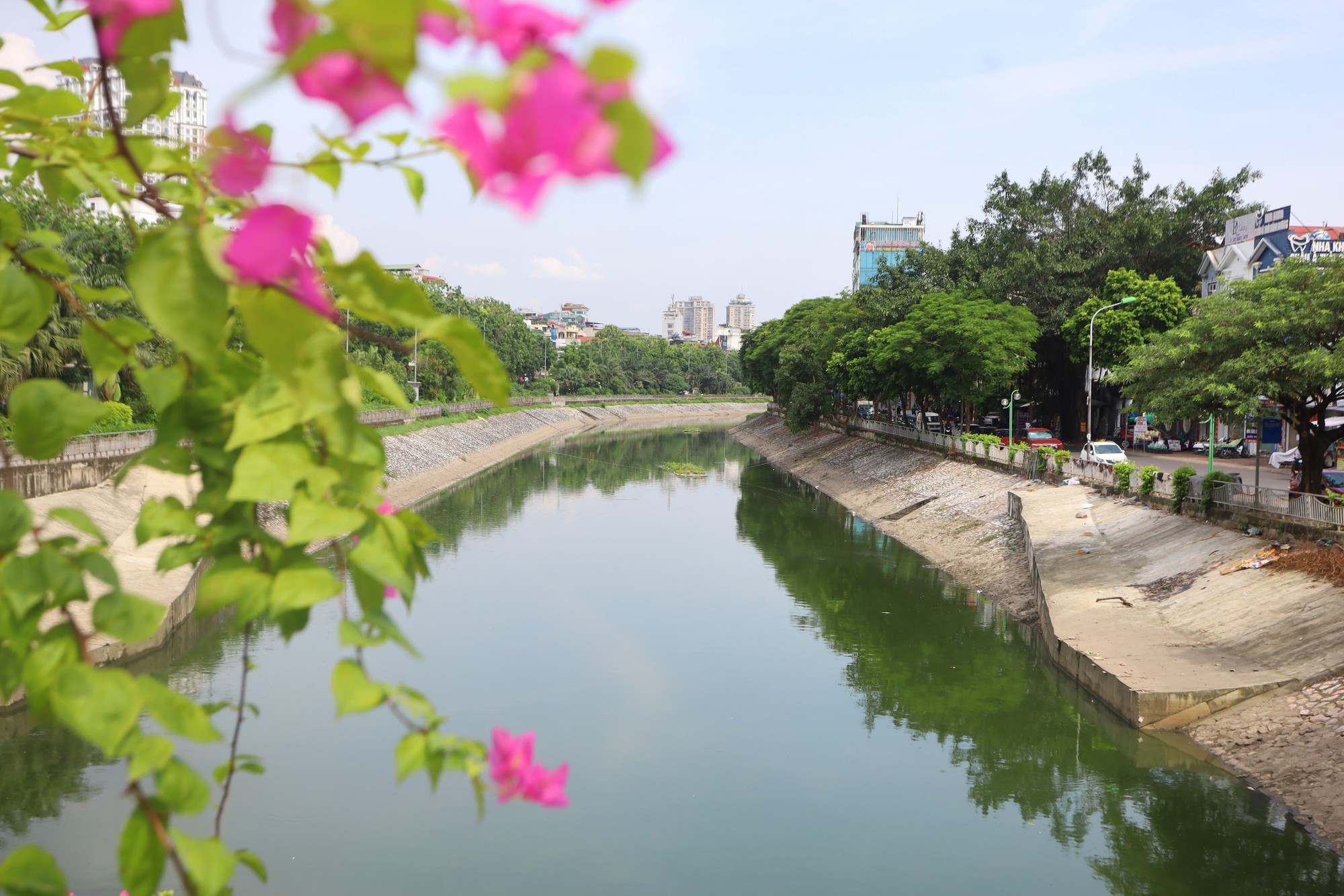 Hà Nội: Nước sông Tô Lịch lại chuyển màu xanh- Ảnh 4.