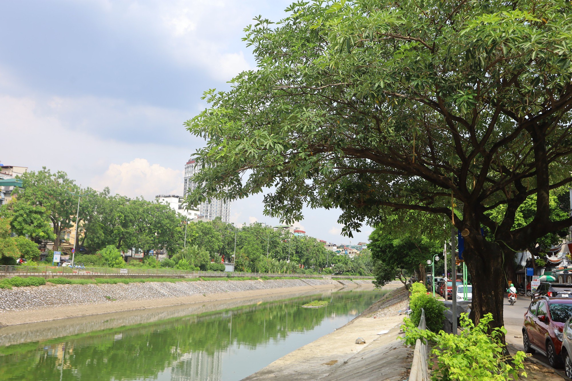 Hà Nội: Nước sông Tô Lịch lại chuyển màu xanh- Ảnh 7.