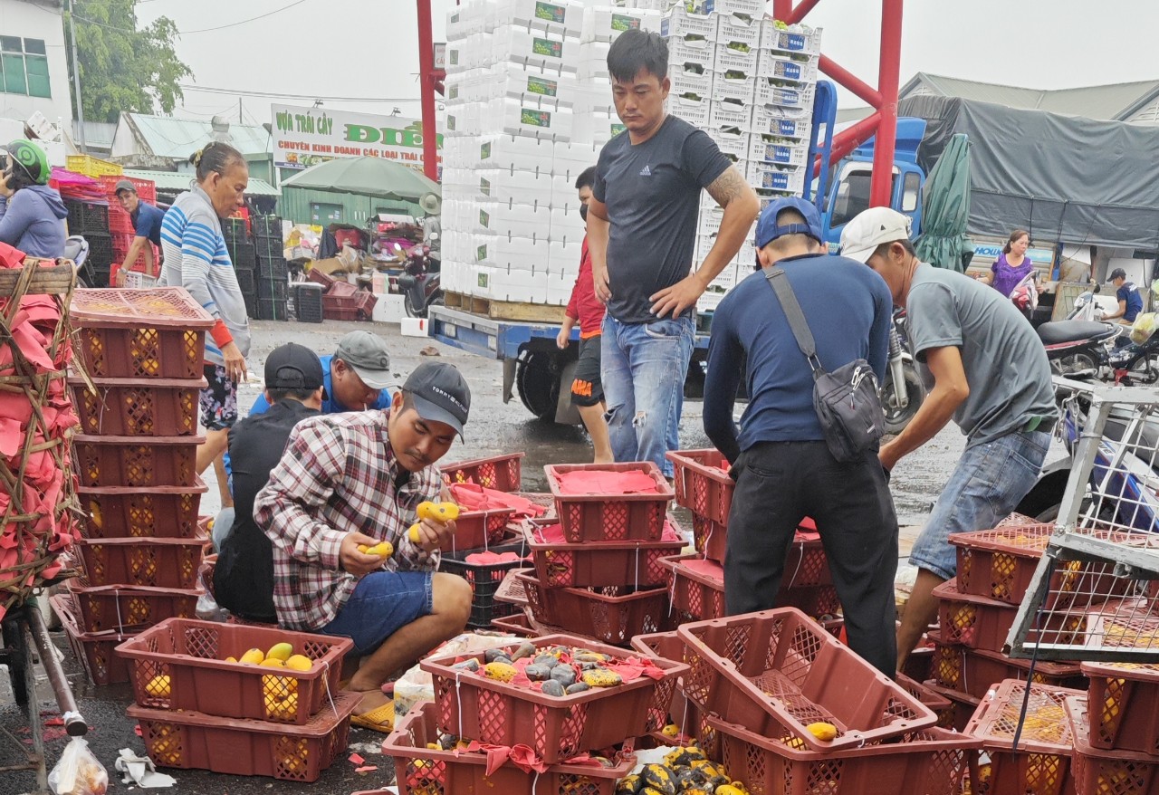 Hàng trăm tấn xoài Trung Quốc đổ bộ TP HCM- Ảnh 1.