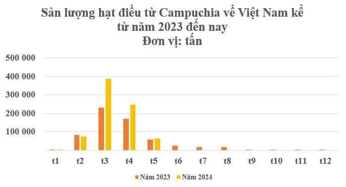 Nhờ 'trợ lực' từ Campuchia, Việt Nam đang thống trị thị trường toàn cầu mặt hàng đặc biệt này: Chi hơn 1 tỷ USD nhập khẩu, nước ta ‘hốt bạc’ từ Á đến Âu- Ảnh 2.