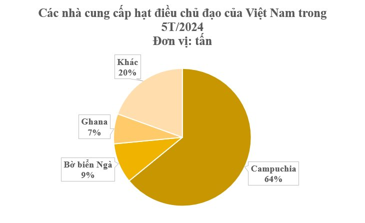 Nhờ 'trợ lực' từ Campuchia, Việt Nam đang thống trị thị trường toàn cầu mặt hàng đặc biệt này: Chi hơn 1 tỷ USD nhập khẩu, nước ta ‘hốt bạc’ từ Á đến Âu- Ảnh 3.