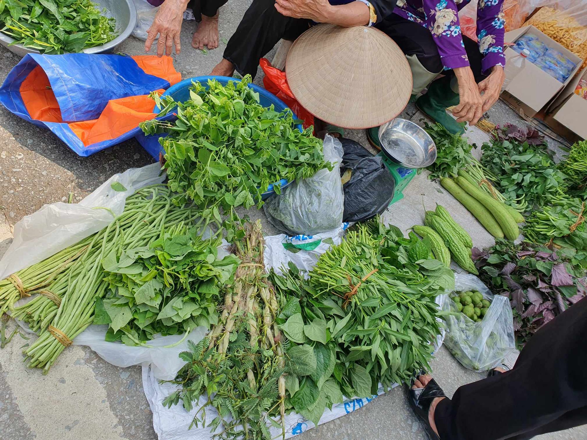 Mẹ 3 con kể chuyện chi tiêu ở ngoại thành Hà Nội: Nhiều thực phẩm giá cao không kém nội thành, biết cách mua và tự trồng rau, nuôi gà thì mới tiết kiệm!- Ảnh 3.