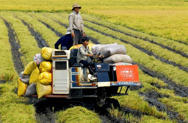 Láng giềng bán sản vật quốc gia được gần 3 tỷ USD, Việt Nam gấp 6,5 lần- Ảnh 2.