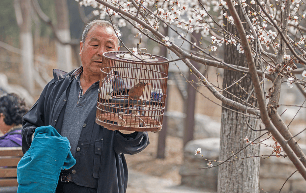 Cụ ông U80 tâm sự: 