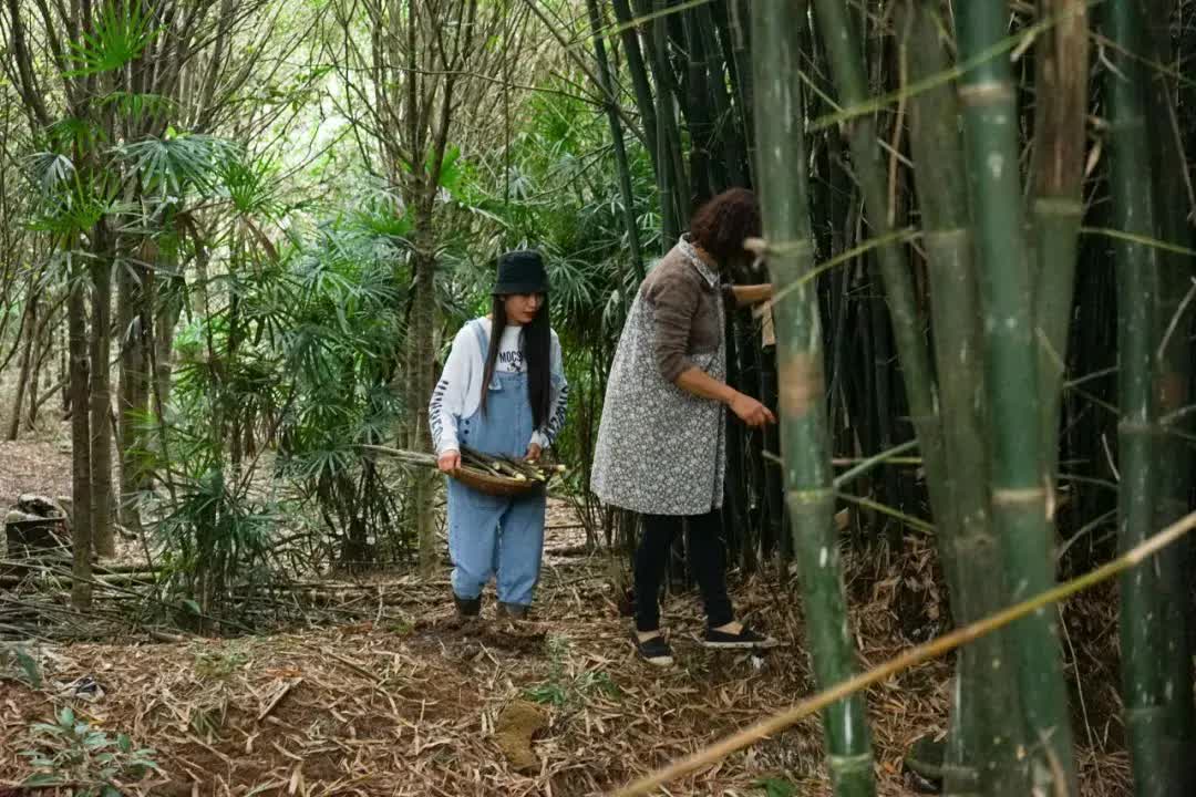 Rời bỏ thành phố lớn, gia đình 3 người về quê xây dựng thiên đường sinh thái biệt lập- Ảnh 31. Rời bỏ thành phố lớn, gia đình 3 người về quê xây dựng thiên đường sinh thái biệt lập- Ảnh 31.