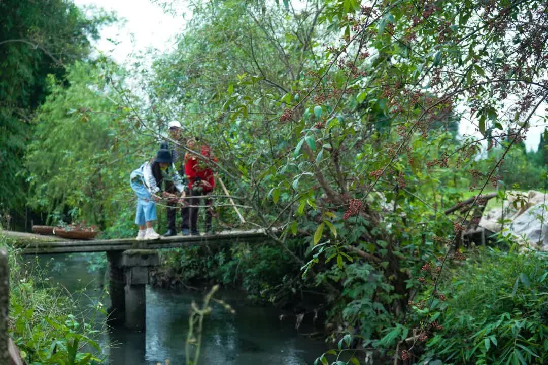 Rời bỏ thành phố lớn, gia đình 3 người về quê xây dựng thiên đường sinh thái biệt lập- Ảnh 32. Rời bỏ thành phố lớn, gia đình 3 người về quê xây dựng thiên đường sinh thái biệt lập- Ảnh 32.