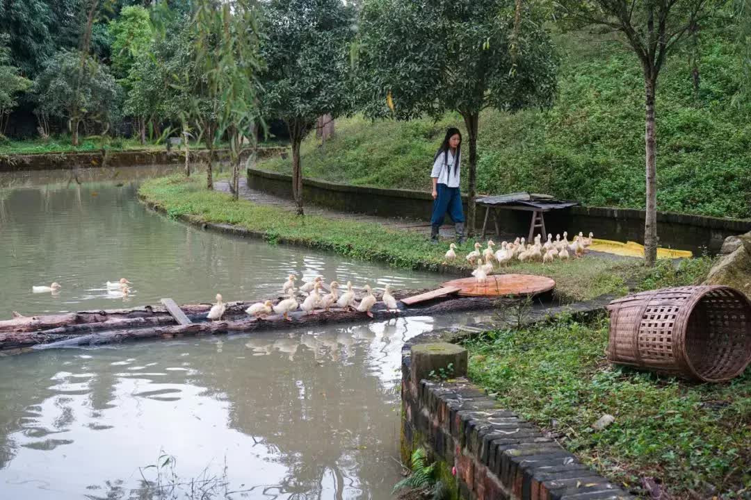 Rời bỏ thành phố lớn, gia đình 3 người về quê xây dựng thiên đường sinh thái biệt lập- Ảnh 9. Rời bỏ thành phố lớn, gia đình 3 người về quê xây dựng thiên đường sinh thái biệt lập- Ảnh 9.