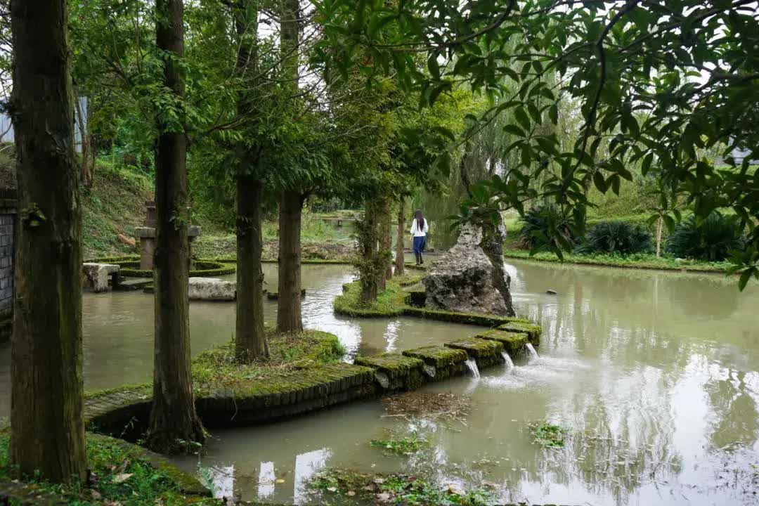 Rời bỏ thành phố lớn, gia đình 3 người về quê xây dựng thiên đường sinh thái biệt lập- Ảnh 29. Rời bỏ thành phố lớn, gia đình 3 người về quê xây dựng thiên đường sinh thái biệt lập- Ảnh 29.