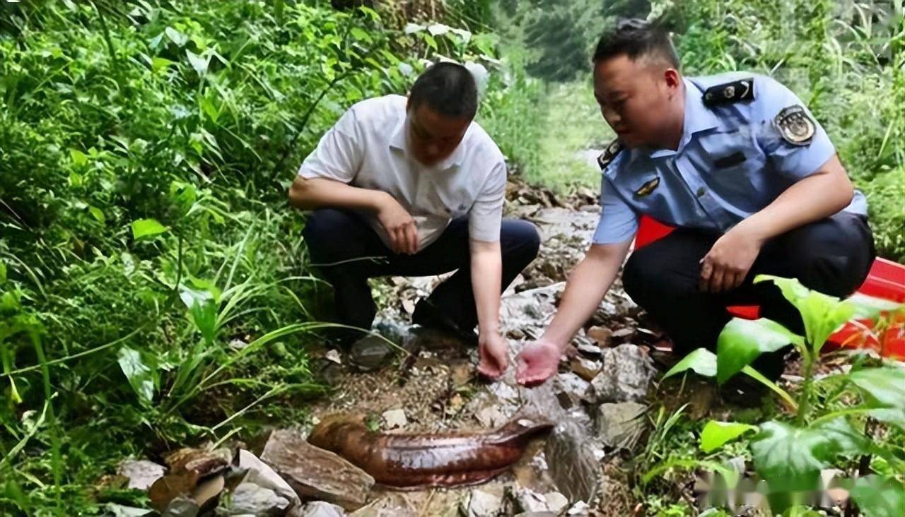 Tình cờ bắt được 'cá lạ' có móng vuốt, người đàn ông vội báo cảnh sát: Quyết định đúng đắn nhất trong đời- Ảnh 2.