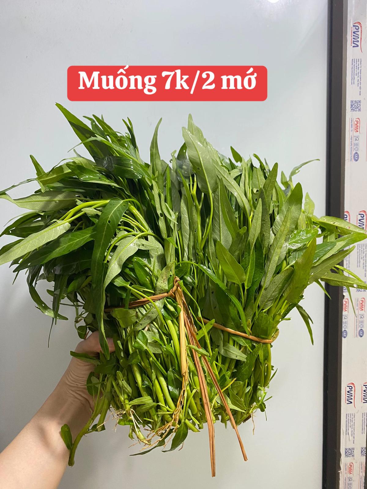 Mẹ 2 con cầm 700k đi chợ 1 tuần cho gia đình 4 người: Thực phẩm tươi ngon, còn thừa tiền mang về 