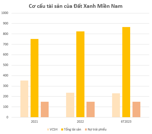 Công ty Đất Xanh Miền Nam trong vụ tố cáo chiếm đoạt 44,8 tỷ đồng trái phiếu có lai lịch ra sao?- Ảnh 4.