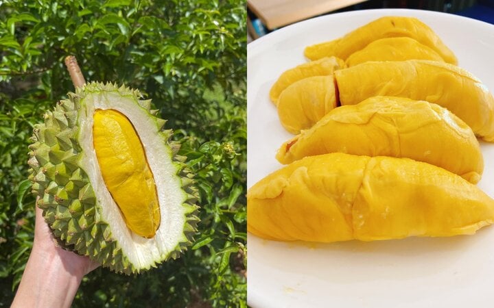 Sầu riêng Musang King - hàng hiếm giá trên trời bỗng rớt thảm- Ảnh 2.