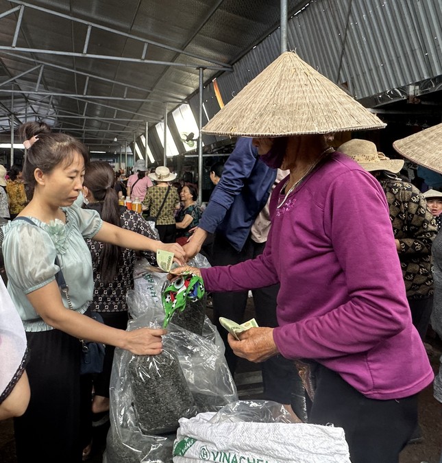 Vùng chè đặc sản Tân Cương: Đắng lòng vì chè mất giá- Ảnh 2.