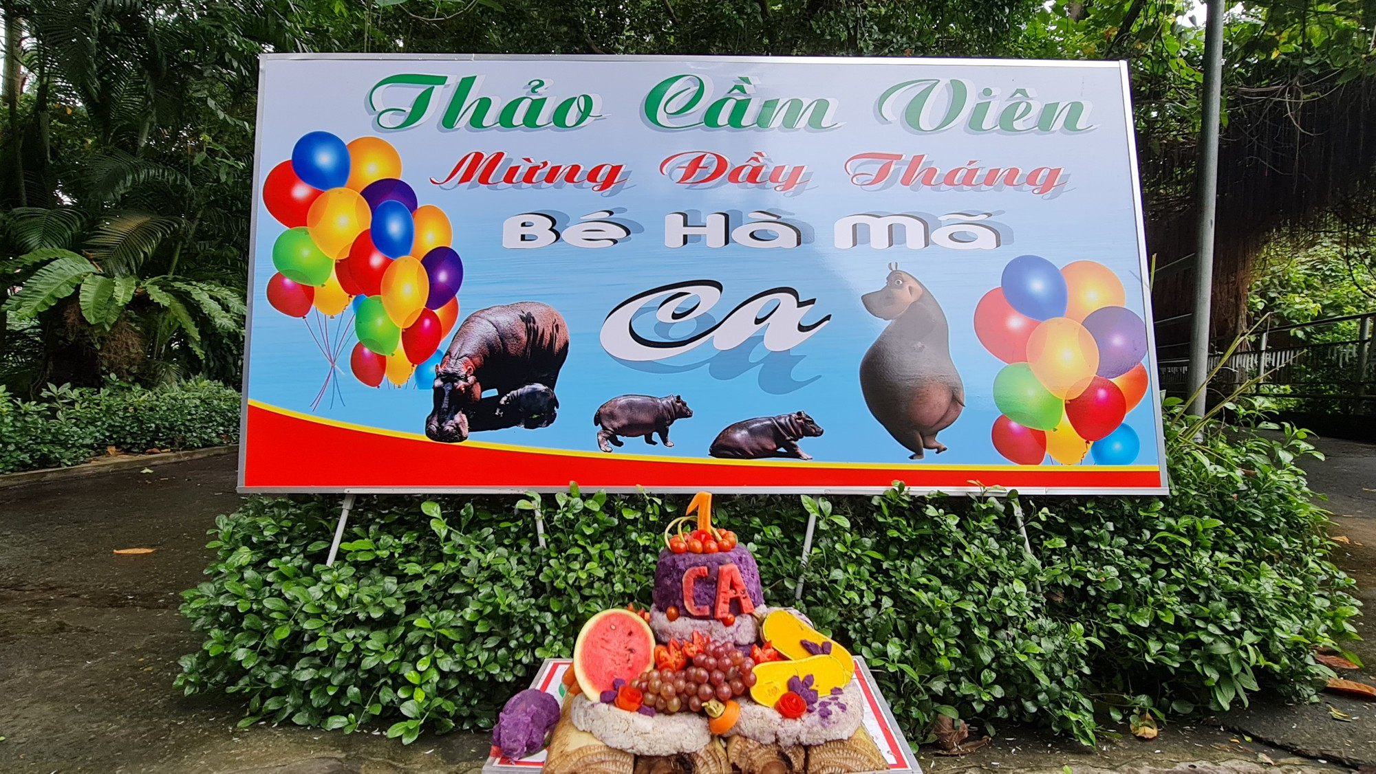 Thảo Cầm Viên đông nghịt ngày cuối tuần vì biến thành “trung tâm tiệc tùng”, mời cả nghìn người tham gia- Ảnh 4.