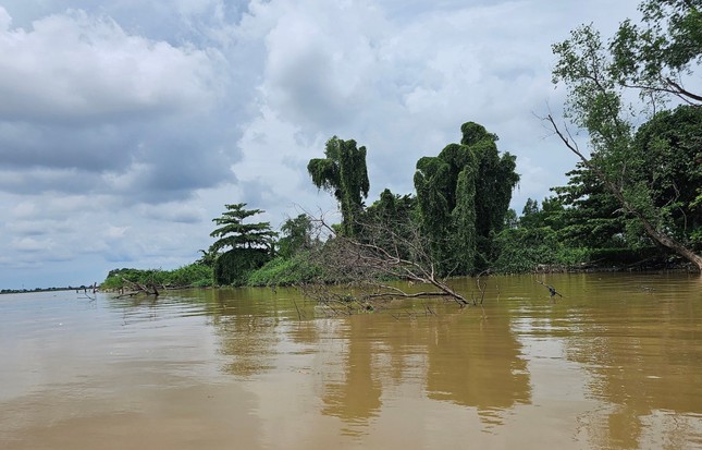 Quay cuồng trong cơn khát cát: Cát tặc hoành hành, bãi cồn teo tóp- Ảnh 1.