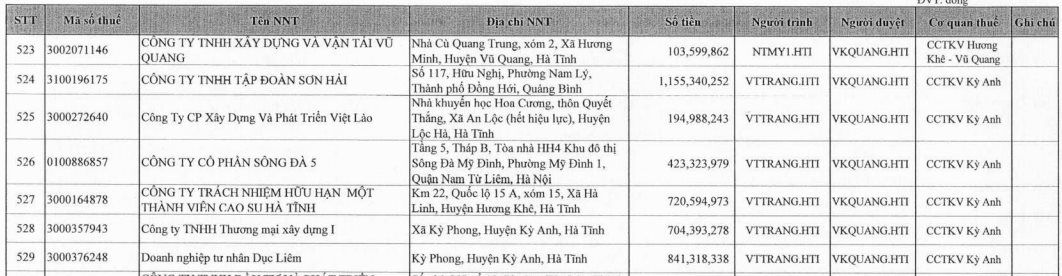 Tập đoàn Sơn Hải xuất hiện trong danh sách nợ thuế đến cuối tháng 6 của tỉnh Hà Tĩnh- Ảnh 1.