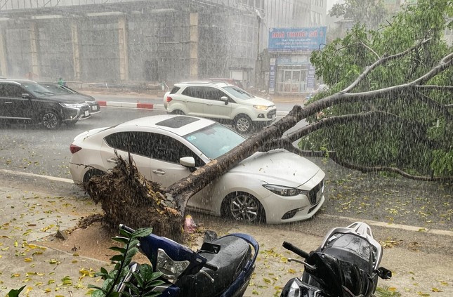 Chủ tịch Hà Nội ký công điện 'hoả tốc' về phòng chống thiên tai, ngập lụt, cây xanh gãy, đổ- Ảnh 1.