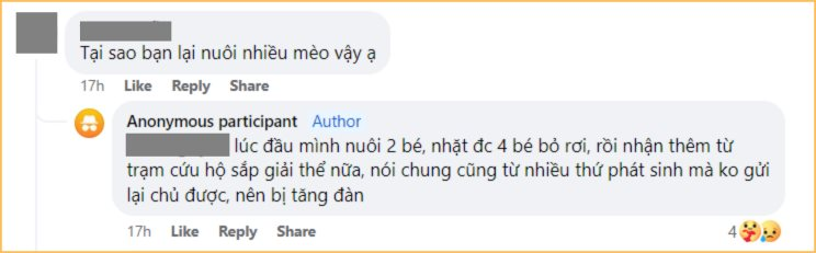 35 tuổi, lương 12 triệu không đủ sống còn nuôi 40 con mèo, người phụ nữ khiến CĐM bức xúc: “Thương động vật nhưng cũng phải thương bố mẹ mình nữa chứ!”- Ảnh 3.