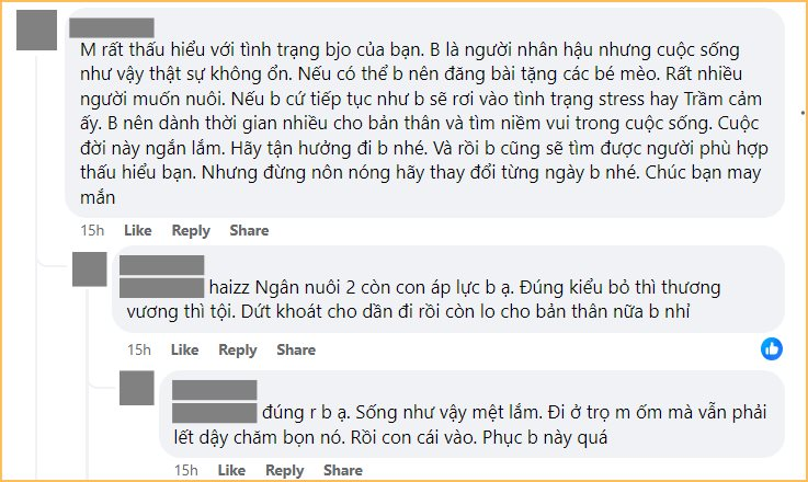 35 tuổi, lương 12 triệu không đủ sống còn nuôi 40 con mèo, người phụ nữ khiến CĐM bức xúc: “Thương động vật nhưng cũng phải thương bố mẹ mình nữa chứ!”- Ảnh 8.