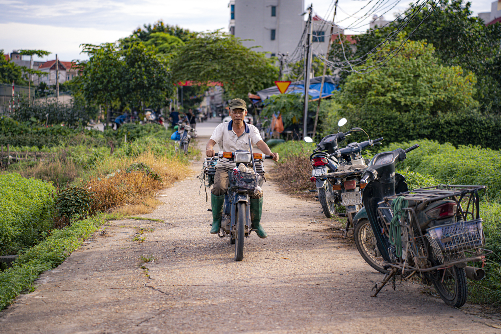 Đại dự án khu công nghệ cao sinh học, tổng vốn đầu tư hơn một tỷ USD, rộng bằng nửa quận Hoàn Kiếm giờ ra sao?- Ảnh 4.