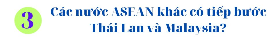 Báo Đức lý giải vì sao nhiều nước Đông Nam Á muốn gia nhập BRICS: Không phải chọn phe mà là cơ hội kinh tế không thể bỏ lỡ- Ảnh 9.