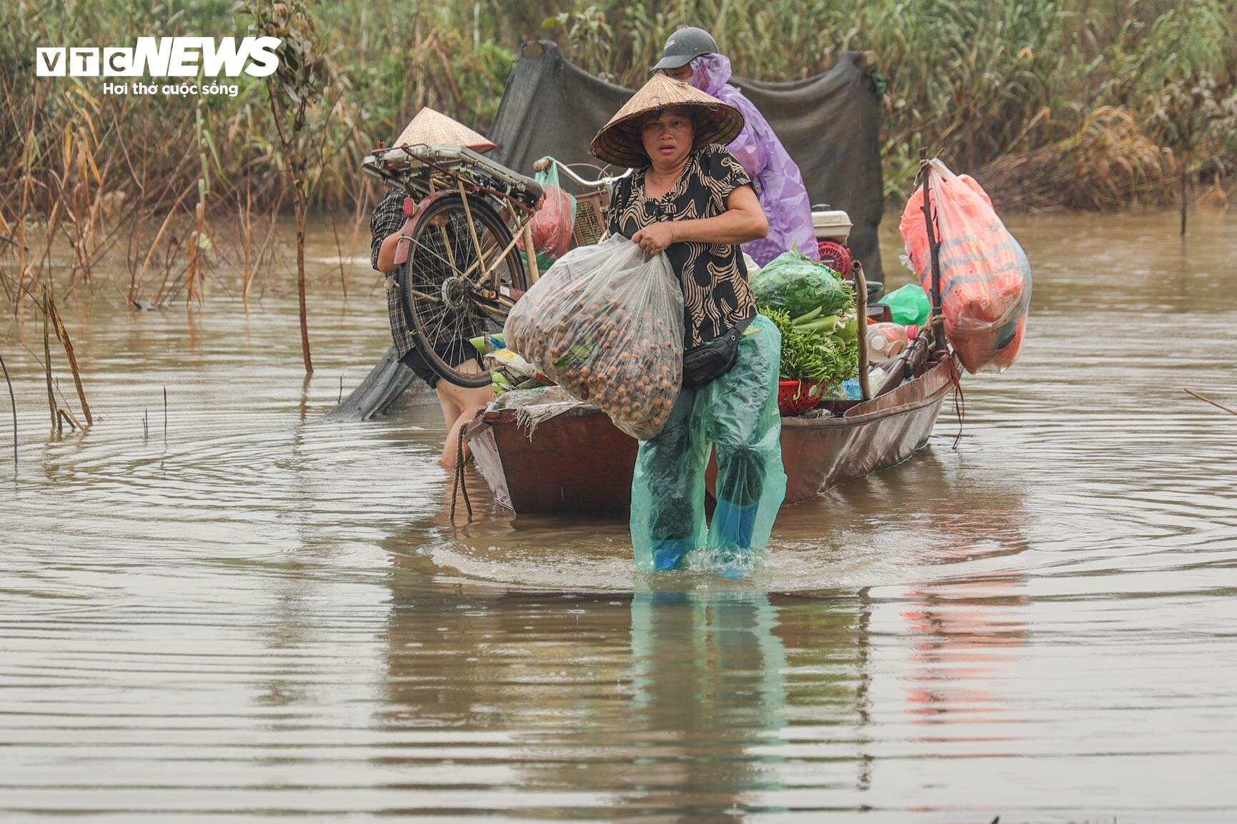 Nước lũ dâng cao, nông dân bãi giữa sông Hồng chèo thuyền mang nông sản đi bán- Ảnh 8.