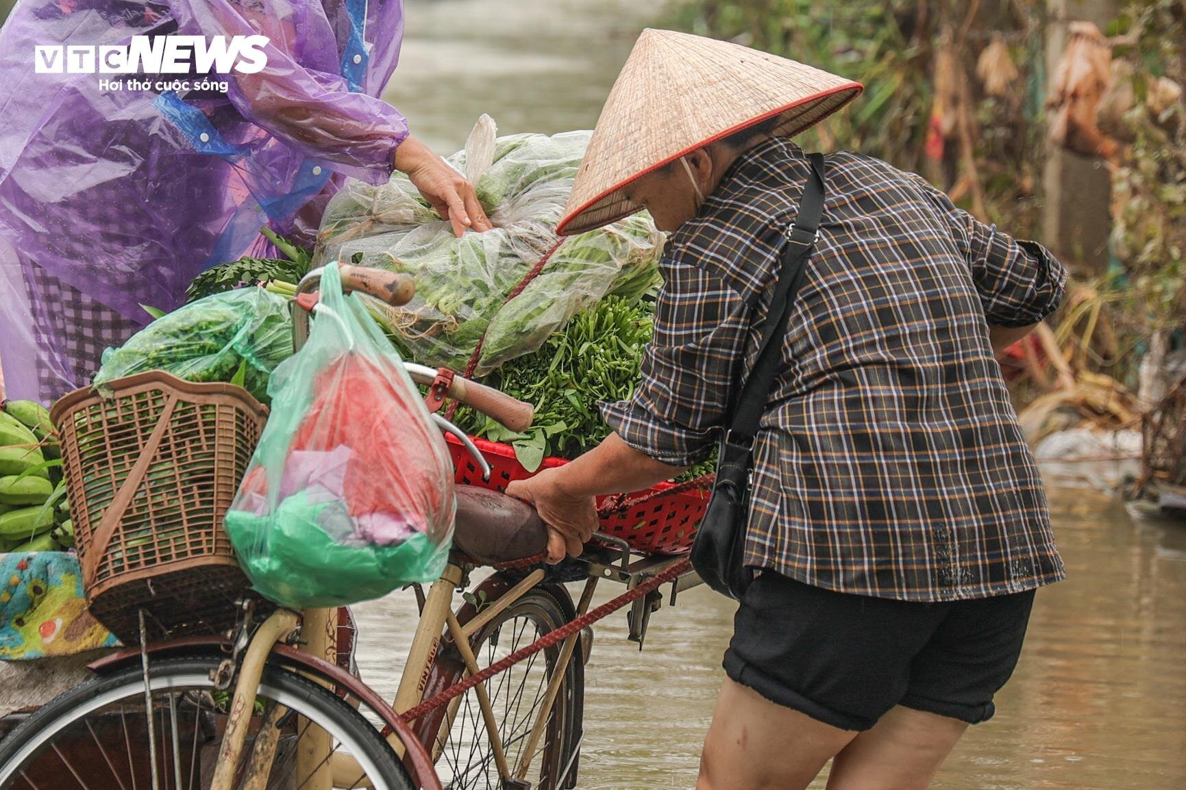 Nước lũ dâng cao, nông dân bãi giữa sông Hồng chèo thuyền mang nông sản đi bán- Ảnh 10.