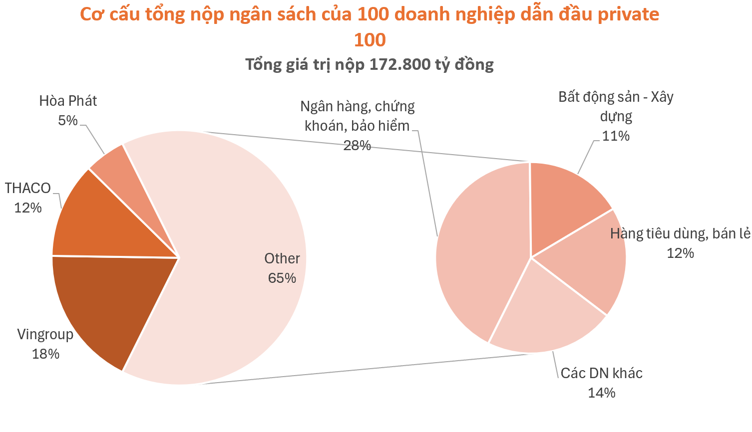 Công bố danh sách chi tiết PRIVATE 100: 100 doanh nghiệp tư nhân nộp ngân sách lớn nhất Việt Nam- Ảnh 3.