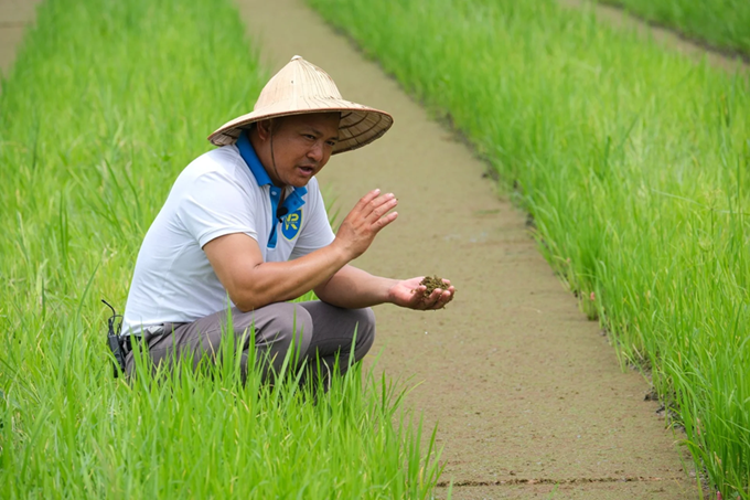 Siêu sinh vật mọc đầy Việt Nam: Giúp vượt 'bão hủy diệt' biến đổi khí hậu, hấp thụ CO2 gấp 8 lần cây xanh- Ảnh 4.