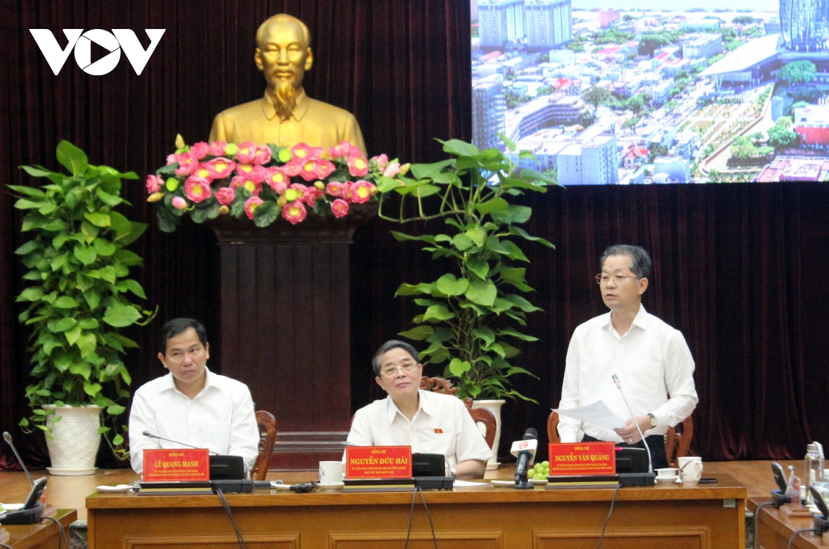 Sớm thành lập khu Thương mại tự do Đà Nẵng- Ảnh 2.