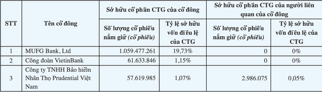 Lộ diện cổ đông ngoại tại các ngân hàng Việt- Ảnh 2.