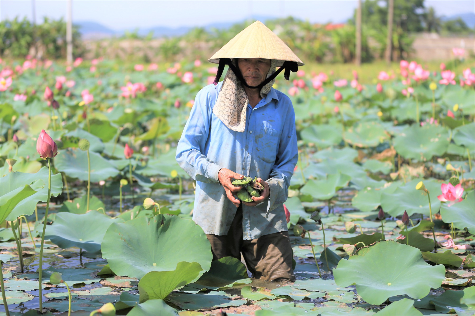 Người ướt thì mới có tiền, dân miền Tây bật mí việc cứ 2 ngày lại kiếm được tiền triệu- Ảnh 3.