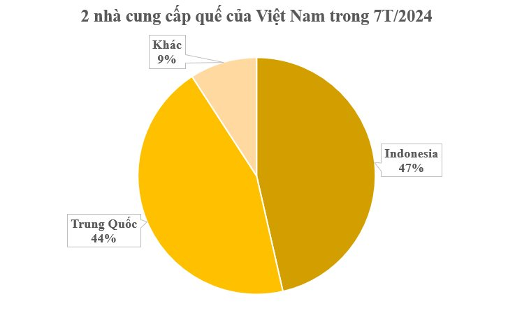 Một loại cây lấy vỏ đưa Việt Nam trở thành ông trùm mặt hàng đặc biệt này của thế giới: VN trồng hơn 180.000 ha, là cây gia vị lâu đời nhất thế giới- Ảnh 2.