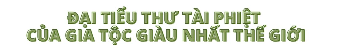 Đại tiểu thư của gia tộc 