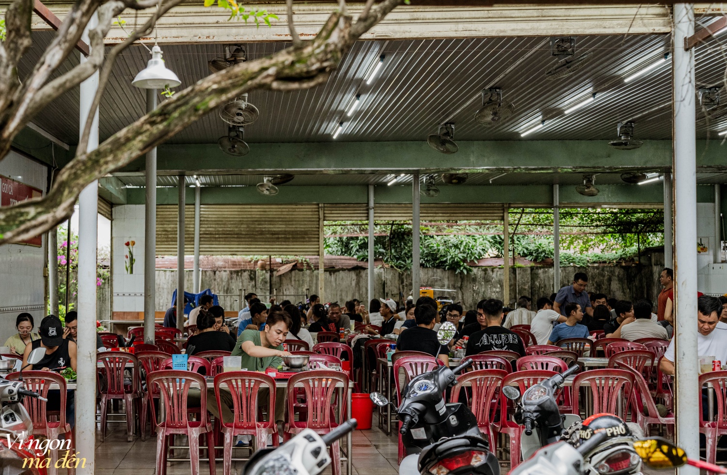 Về Biên Hòa chơi nhất định phải ăn gỏi cá tai tượng với nước xốt thịt độc đáo trứ danh, có quán mẹ truyền con nối bán hơn 30 năm chưa từng vắng khách- Ảnh 10.