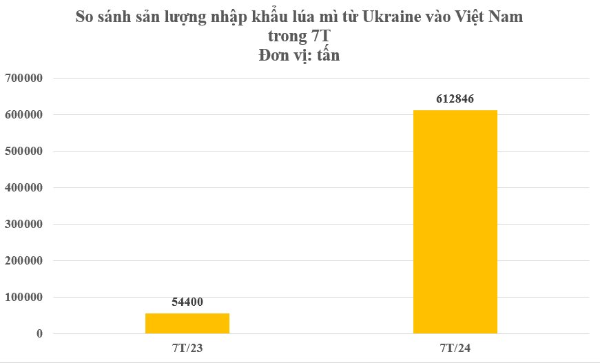 Ukraine gửi đến Việt Nam hàng trăm nghìn tấn hàng mà thế giới đang lên cơn khát: Nhập khẩu tăng hơn 2.400%, nước ta chi gần 1 tỷ USD mua hàng- Ảnh 2.