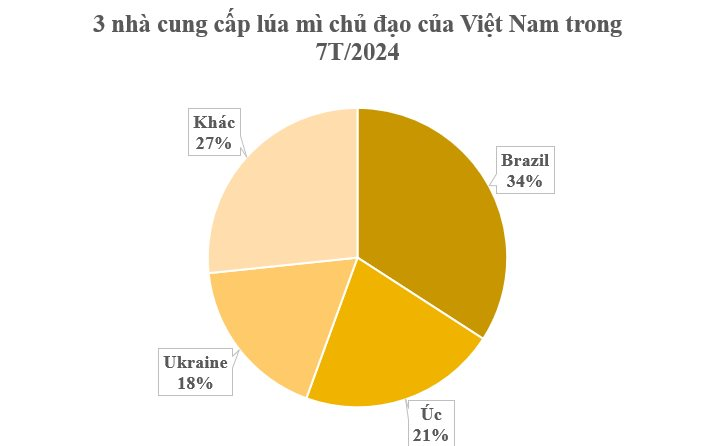 Ukraine gửi đến Việt Nam hàng trăm nghìn tấn hàng mà thế giới đang lên cơn khát: Nhập khẩu tăng hơn 2.400%, nước ta chi gần 1 tỷ USD mua hàng- Ảnh 3.