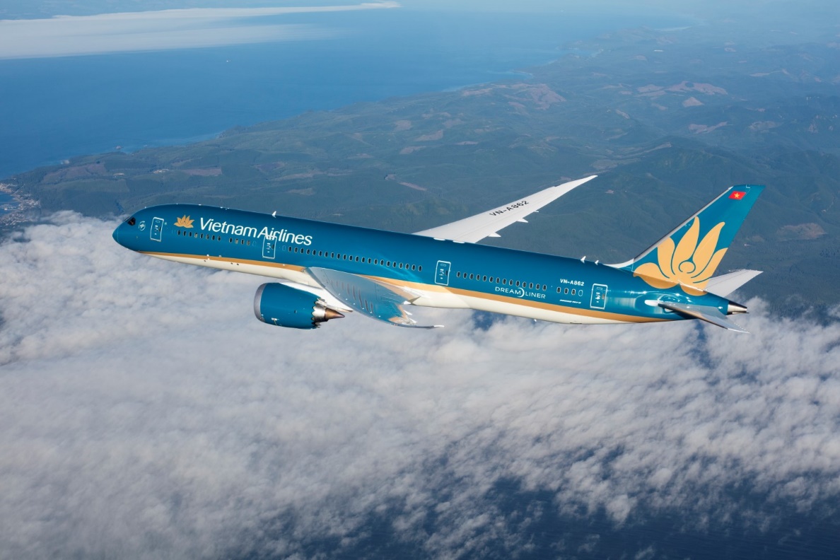 70 ngày và hành trình phủ xanh hơn 27 hecta rừng của Vietnam Airlines- Ảnh 3.