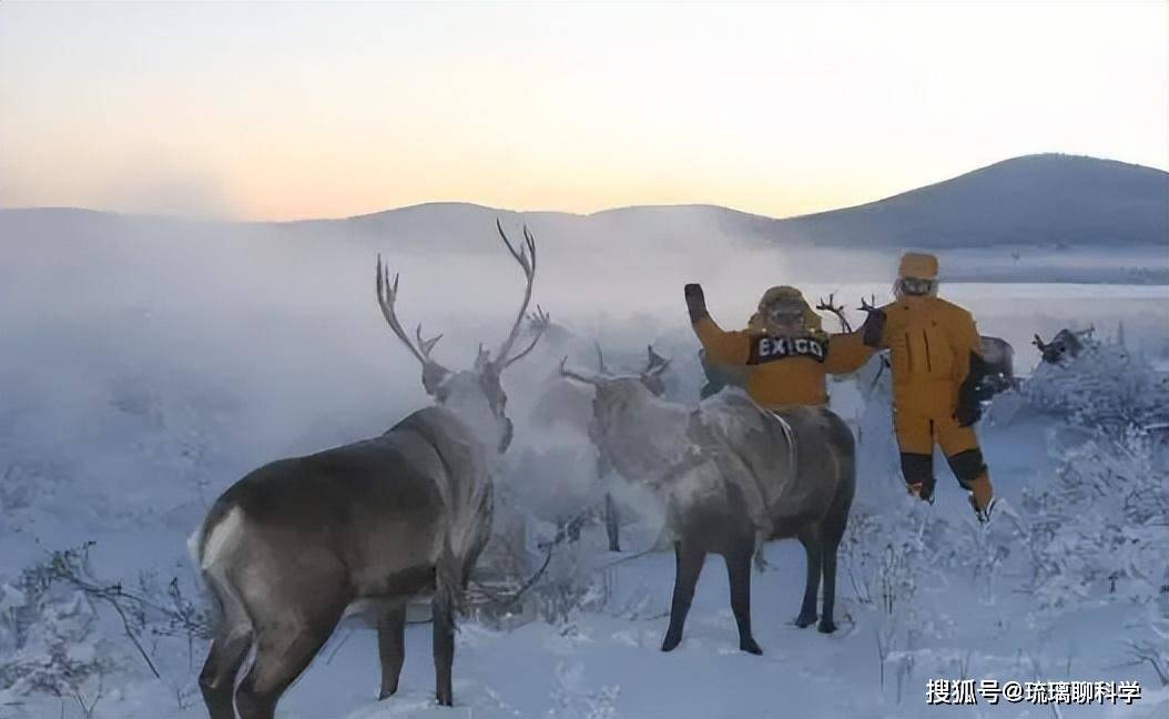 Việc bài tiết trong môi trường âm 70 độ C của mùa đông tại Siberia diễn ra như thế nào?- Ảnh 5.