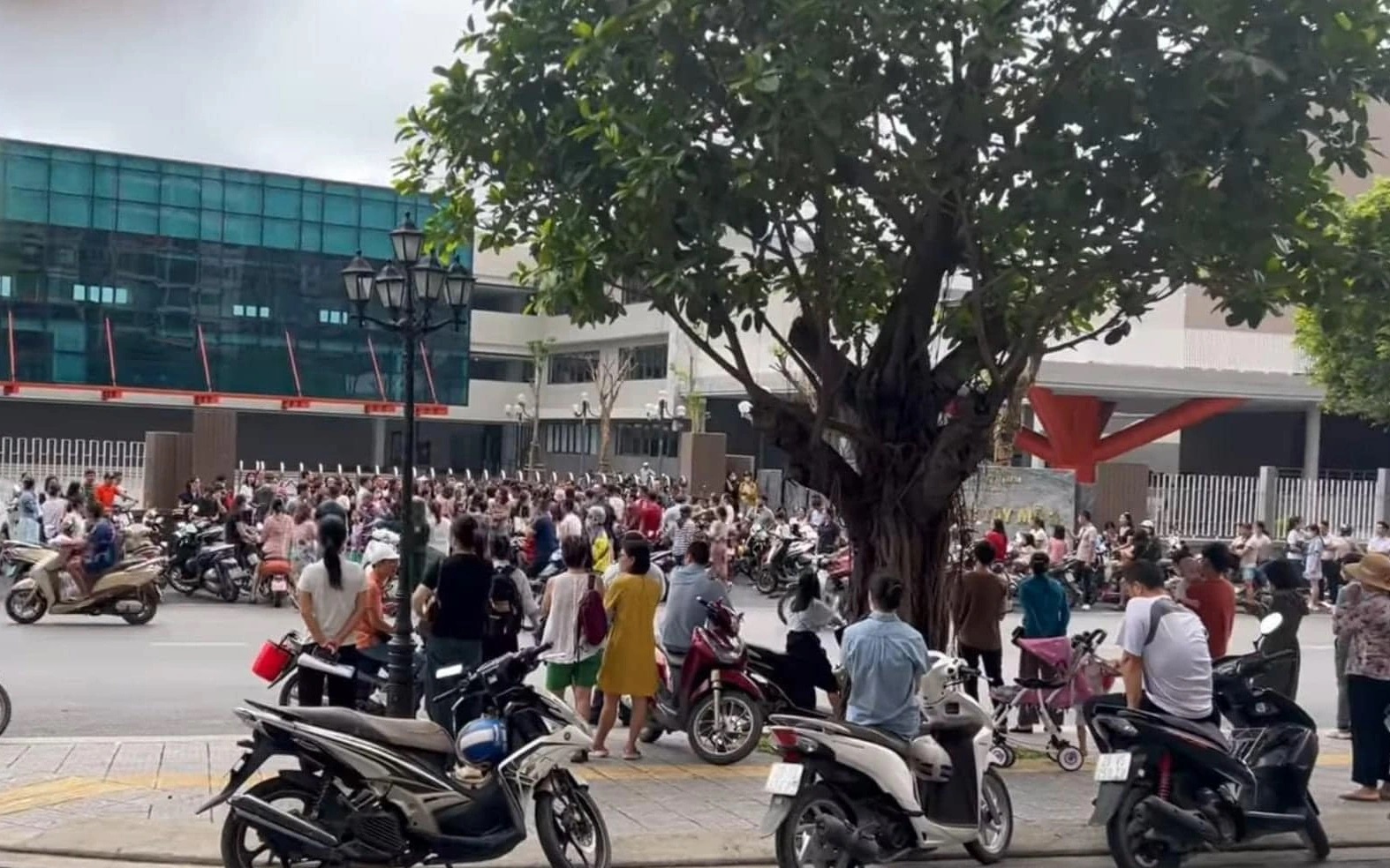 NÓNG: Thông tin mới nhất về vụ tuyển sinh tại trường Tiểu học Tây Mỗ 3, quận lùi thời gian phản hồi phụ huynh- Ảnh 1.