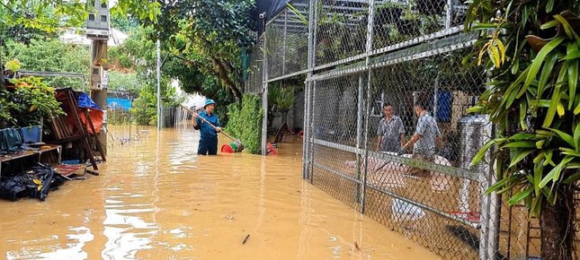 Mưa lớn kéo dài, đường sá thành sông: Bộ đội, công an dầm mình giúp dân chạy lũ- Ảnh 6.