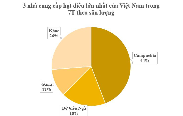 Hàng trăm nghìn tấn hàng từ châu Phi đổ bộ đưa Việt Nam trở thành ông trùm xuất khẩu của thế giới: Giá hấp dẫn, nước ta chi hơn 2 tỷ USD gom hàng- Ảnh 2.