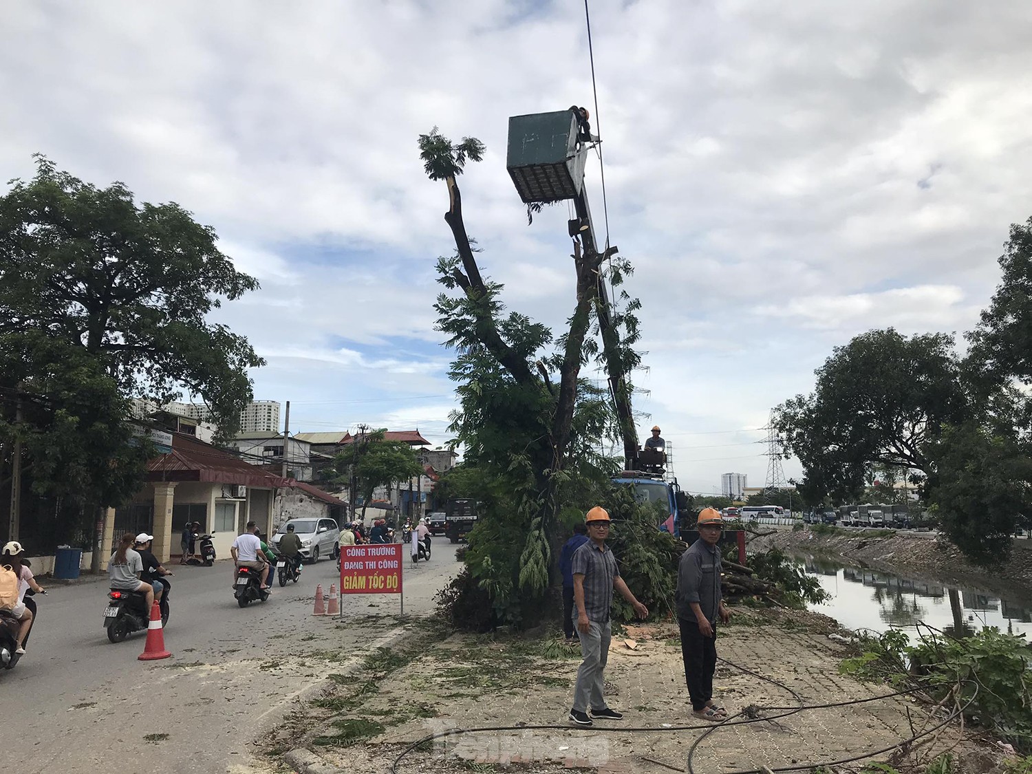 Hà Nội: Nhiều cây xanh hàng chục năm tuổi bị chặt hạ ven đường Tam Trinh- Ảnh 4.