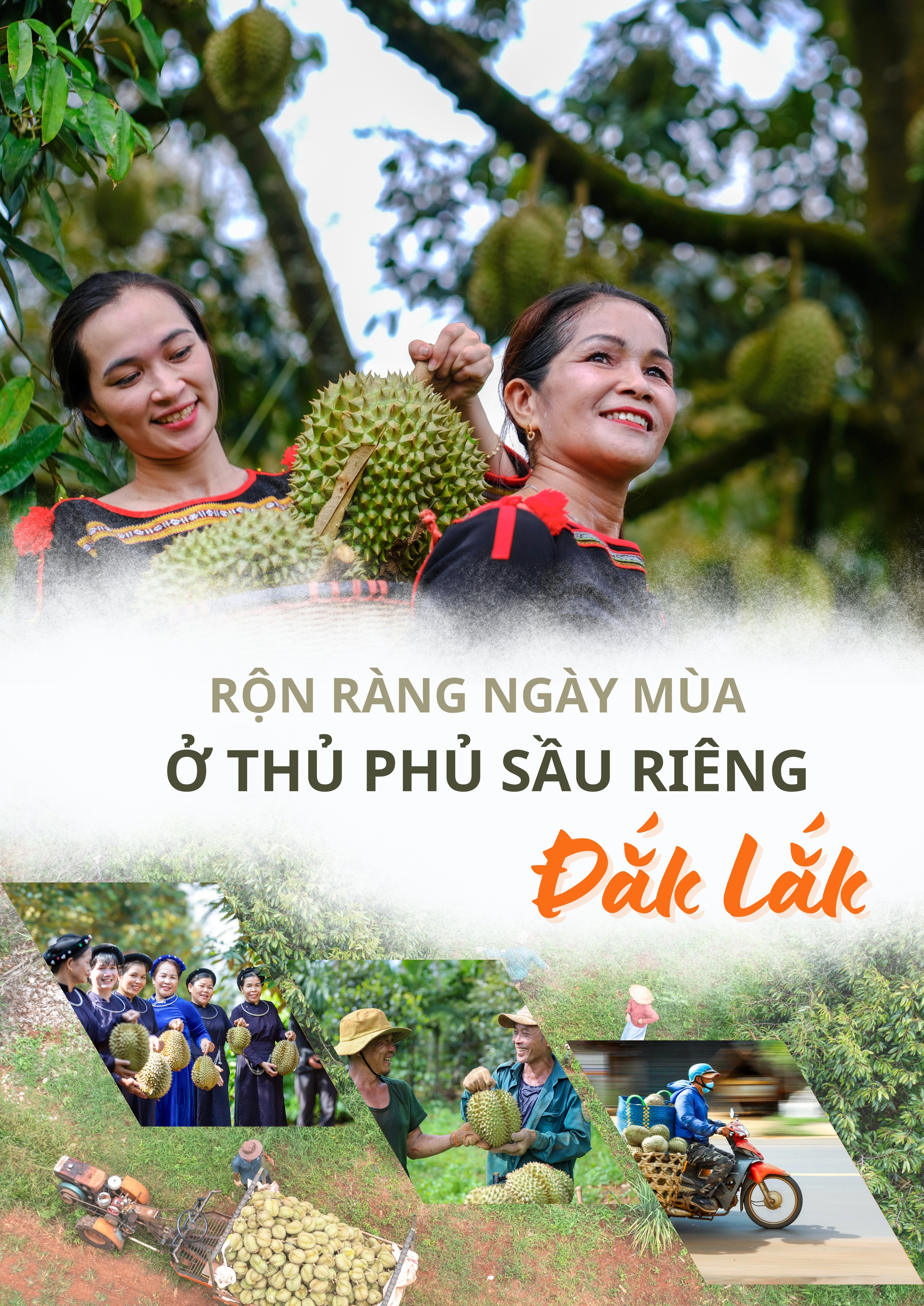 Rộn ràng ngày mùa ở thủ phủ sầu riêng Đắk Lắk- Ảnh 1.