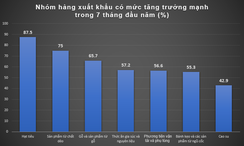 Nhóm hàng được quốc gia đông dân nhất thế giới nhập khẩu rất mạnh từ Việt Nam- Ảnh 2.