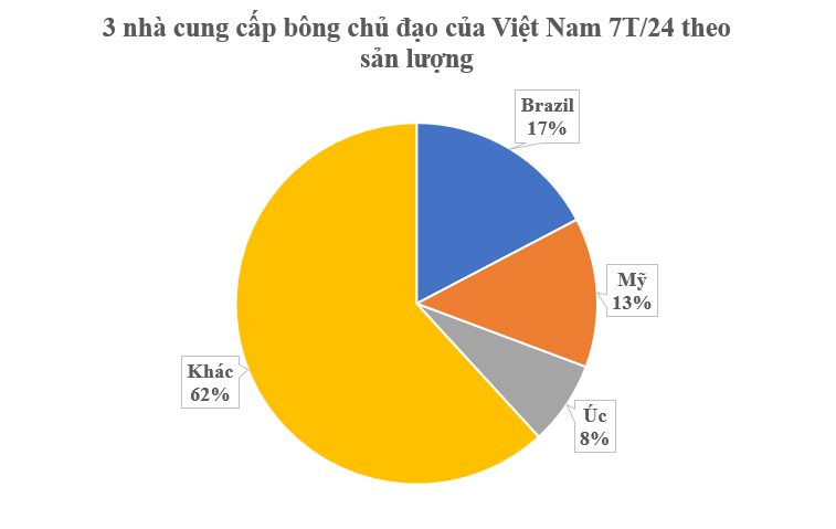 'Vàng trắng trên cây' từ Pakistan liên tục đổ bộ vào Việt Nam: Nhập khẩu tăng hơn 3.000%, nước ta tiêu thụ hàng triệu tấn mỗi năm- Ảnh 2.